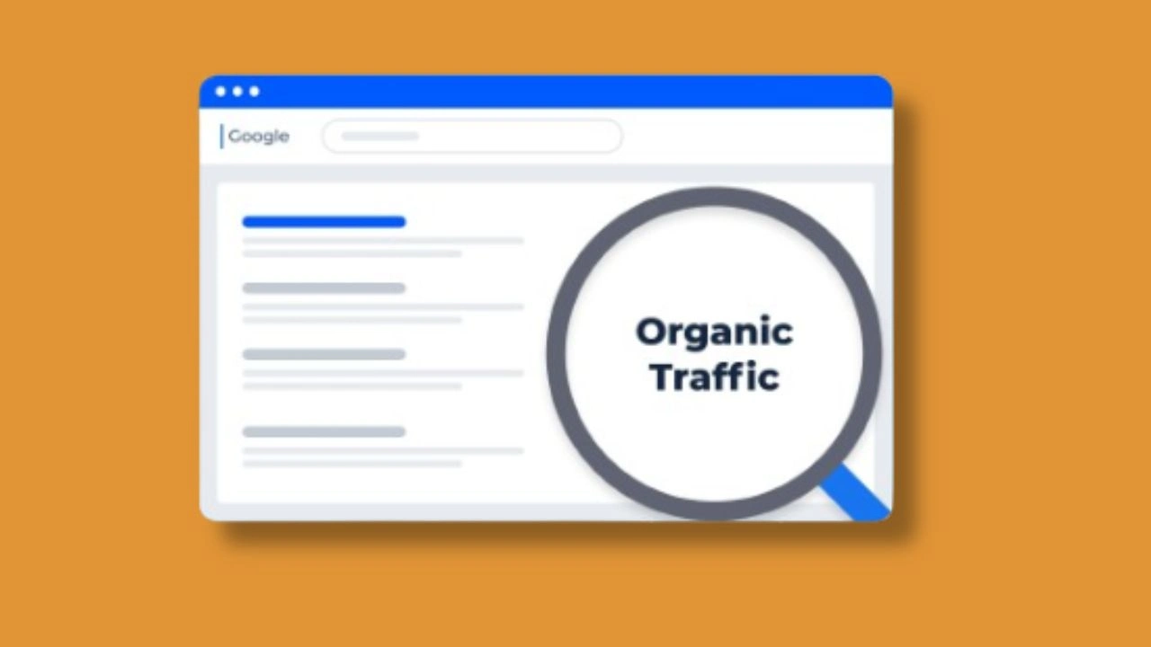 What Does Organic Search Mean in Google Analytics_