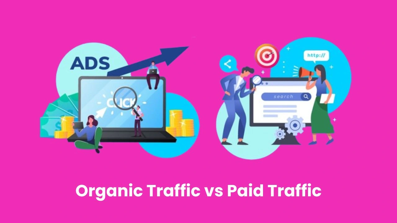 organic traffic vs paid traffic_